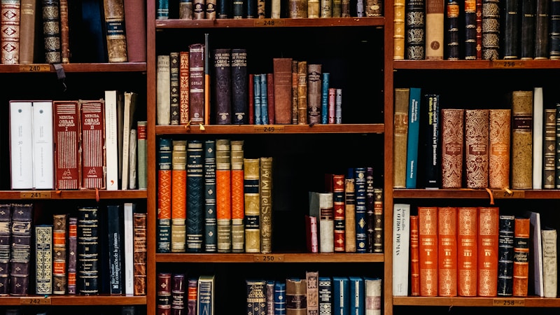 書籍や書類はどう整理する？散らからない収納ルールと続けやすい片づけのコツ